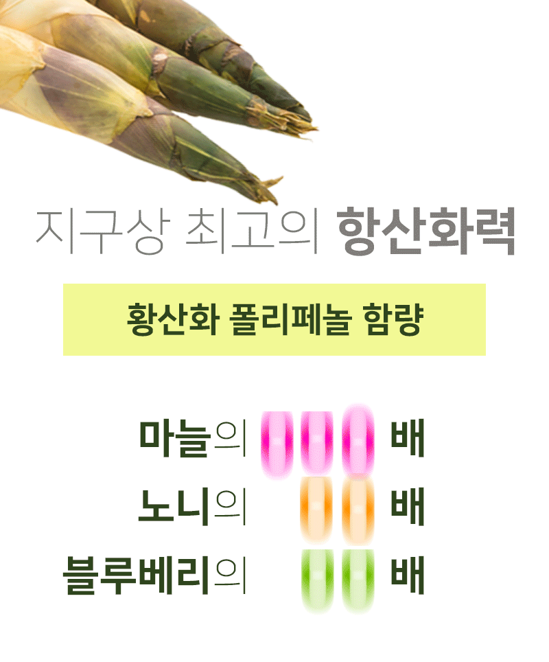 06.gif