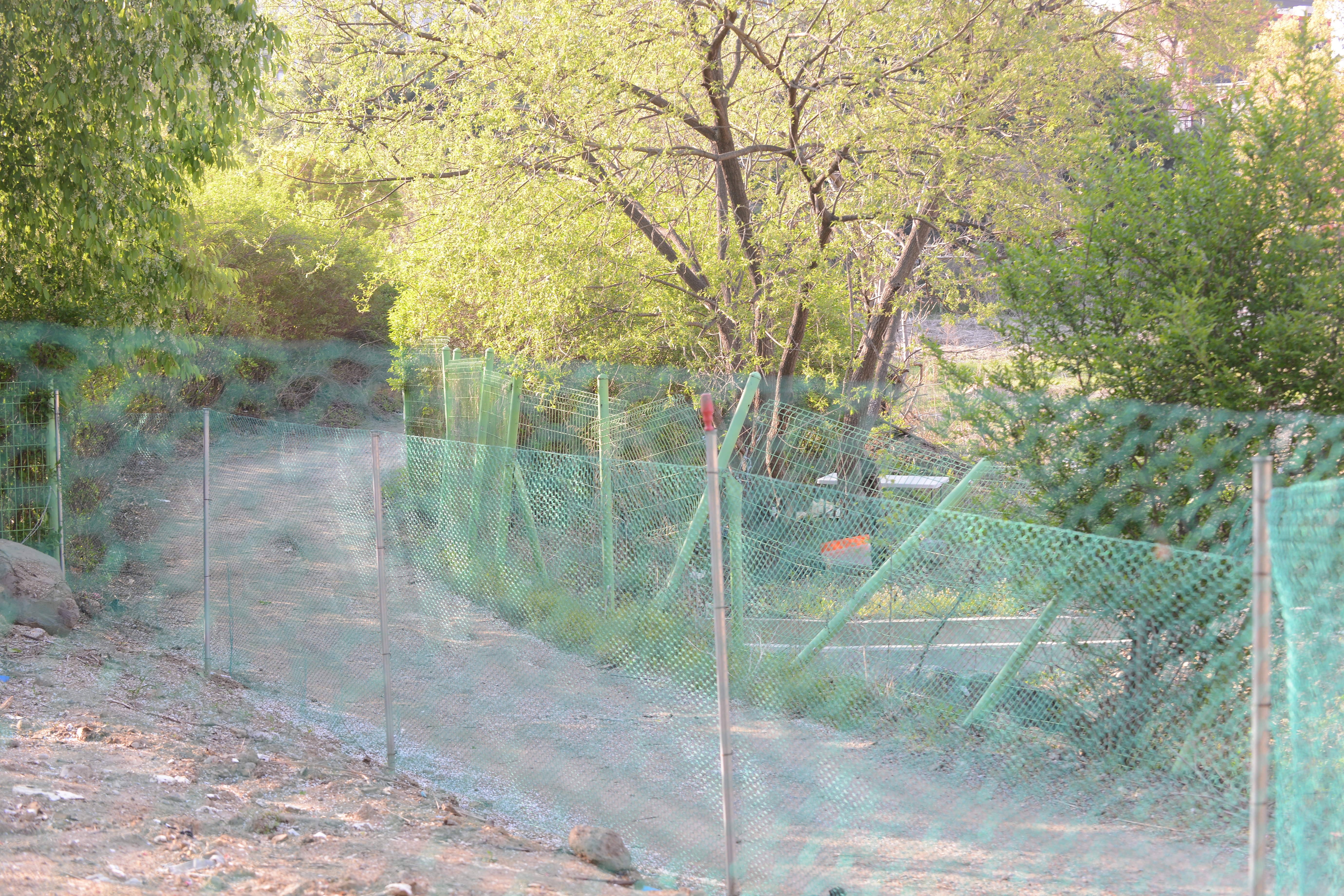 250425_손정자김의원_080.JPG