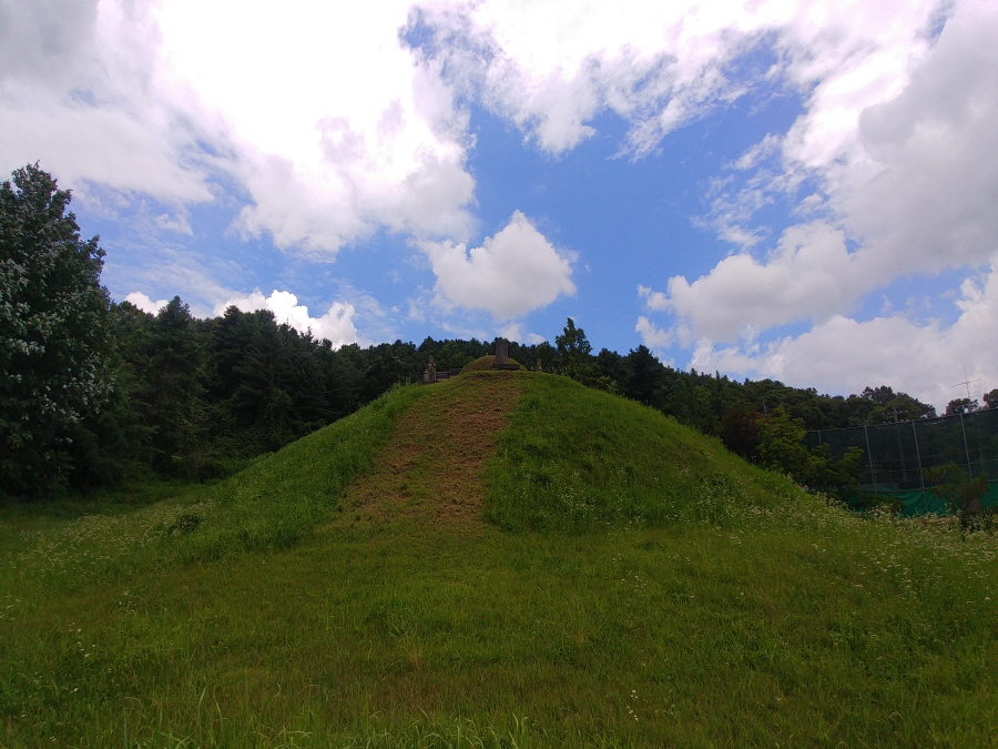 180703_역사문화탐방(능원대군이보)_009.jpg