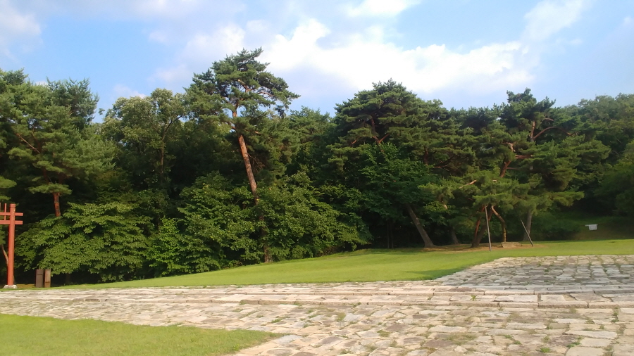 190702_경릉_019.jpg