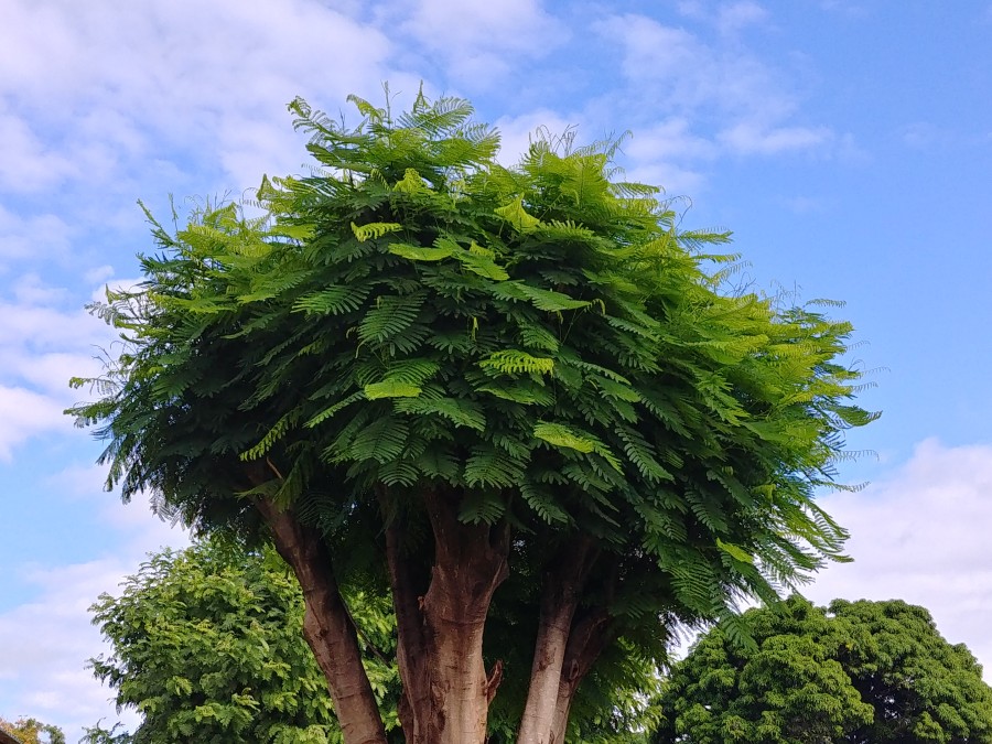 마석사랑_사진_20180526_27.png