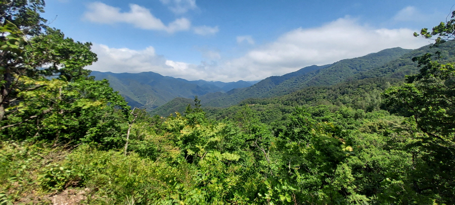 멀리 있는 산이 백두대간 줄기-산을 넘으면 설악산 오색약수터-20220603_135315.jpg