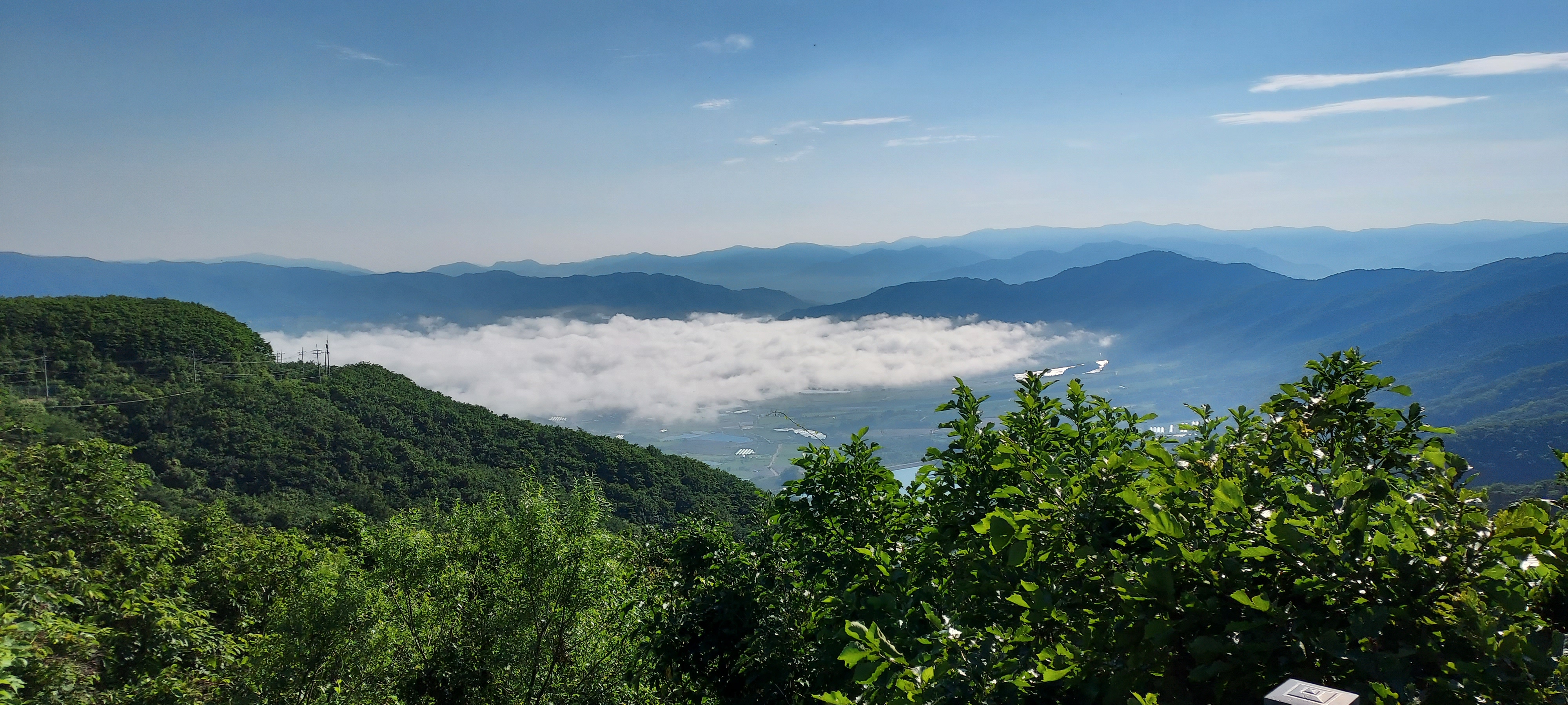 돌산령 정상에서 본 펀치볼-20220703_074713.jpg