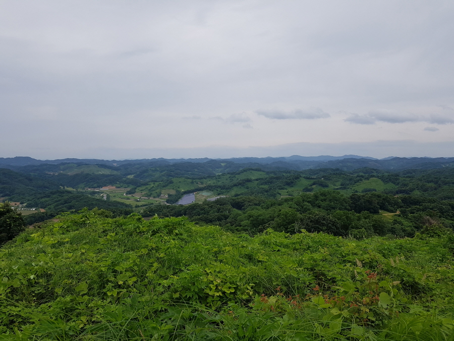 옥녀봉의 북쪽 산자락-멀리 북한 땅이 보인다-20210703_131609.jpg