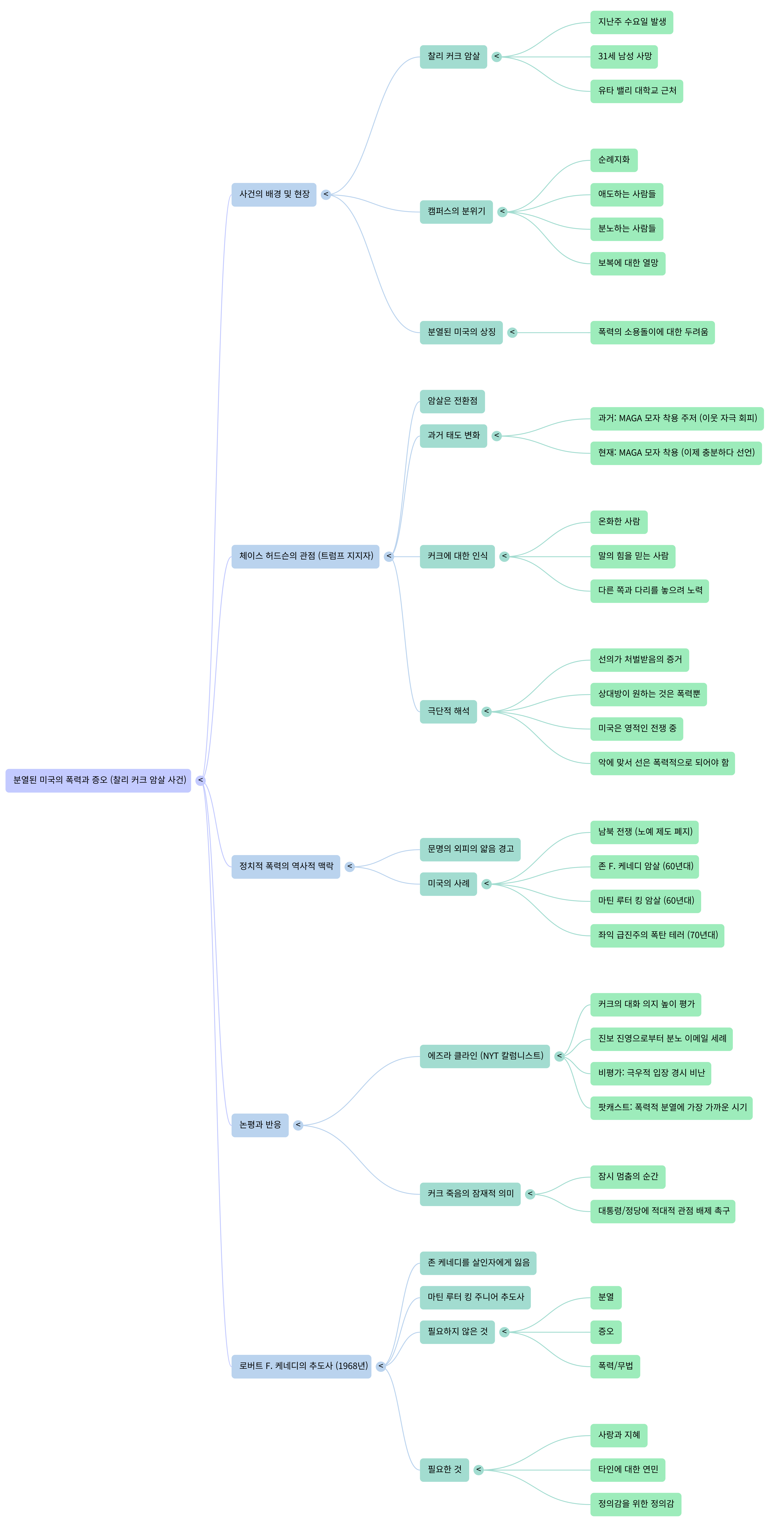 찰리 커크의 암살과 분열된 미국-mind map.png