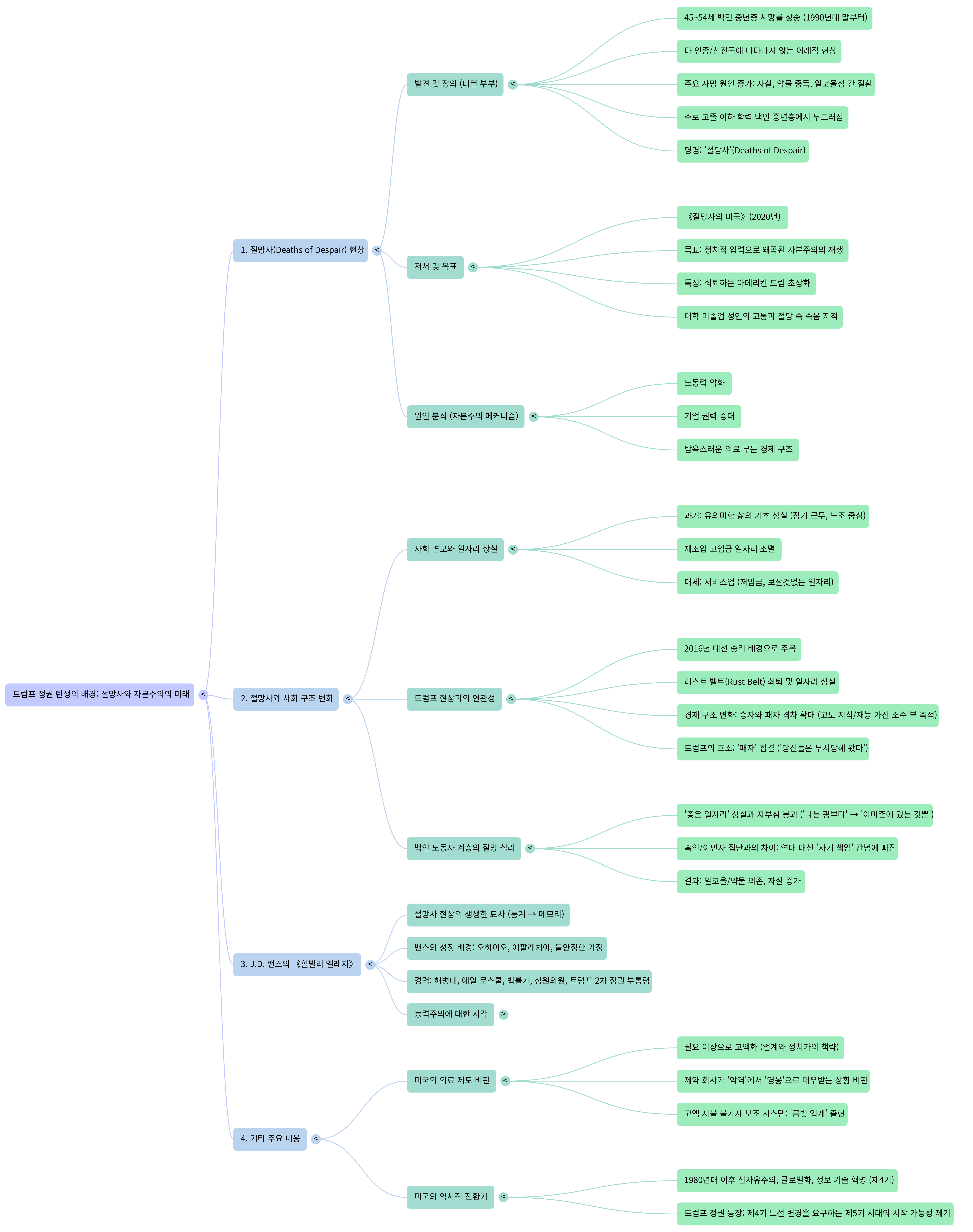 트럼프 정권 탄생의 마그마-Mind Map.png