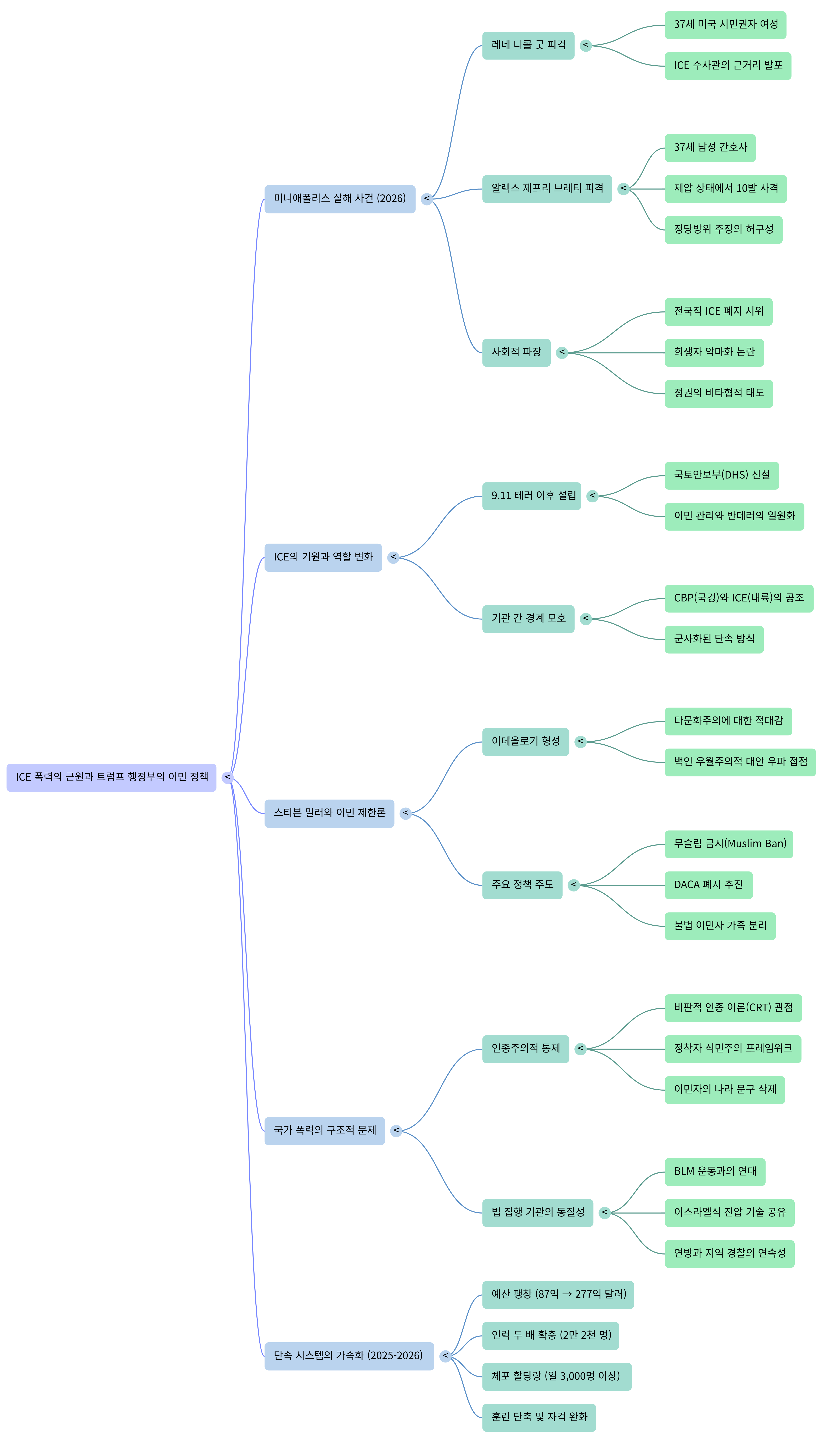 ICE의 국가 폭력-Mind Map.png