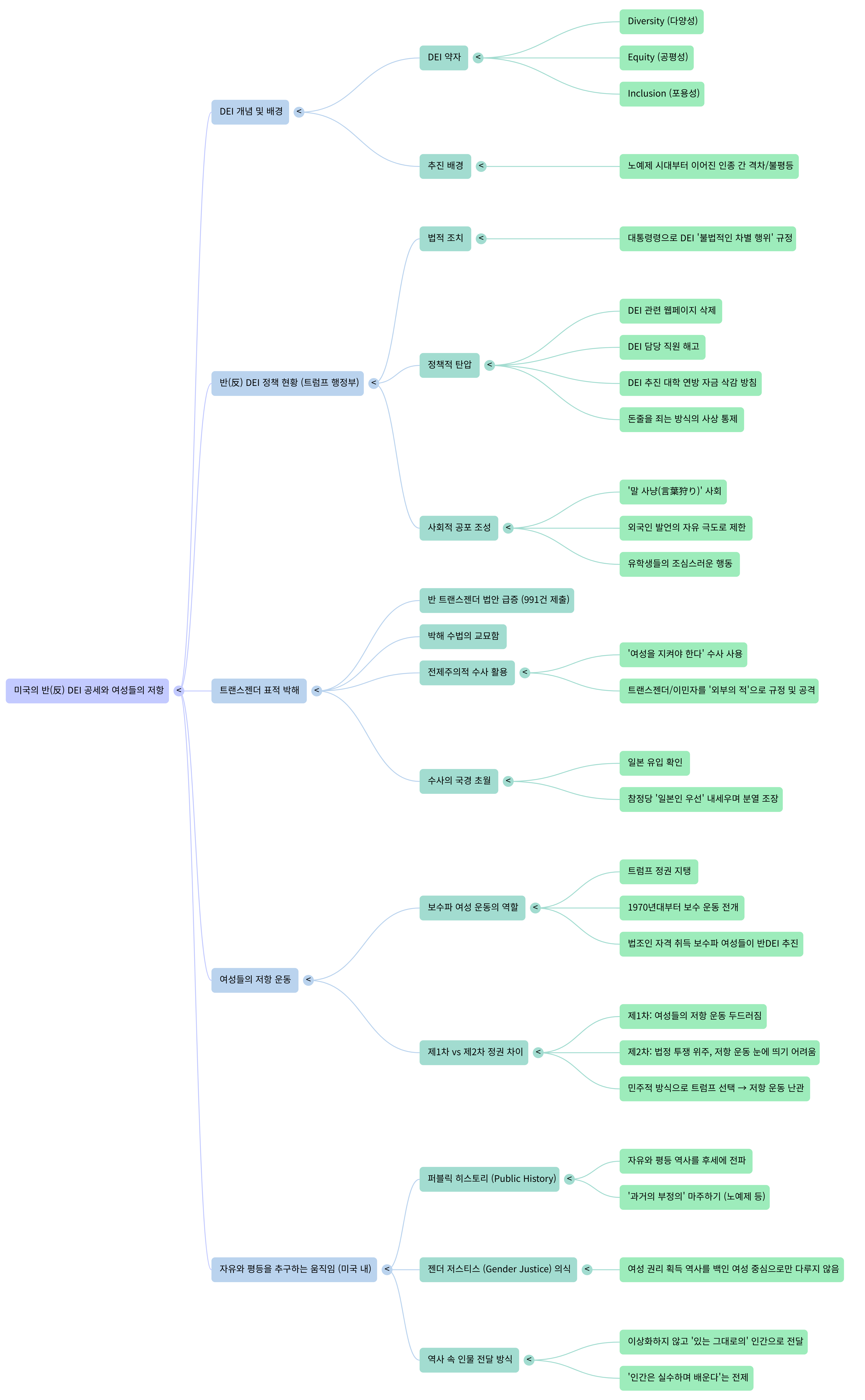 미국의 반 DEI 공세-Mind Map.png