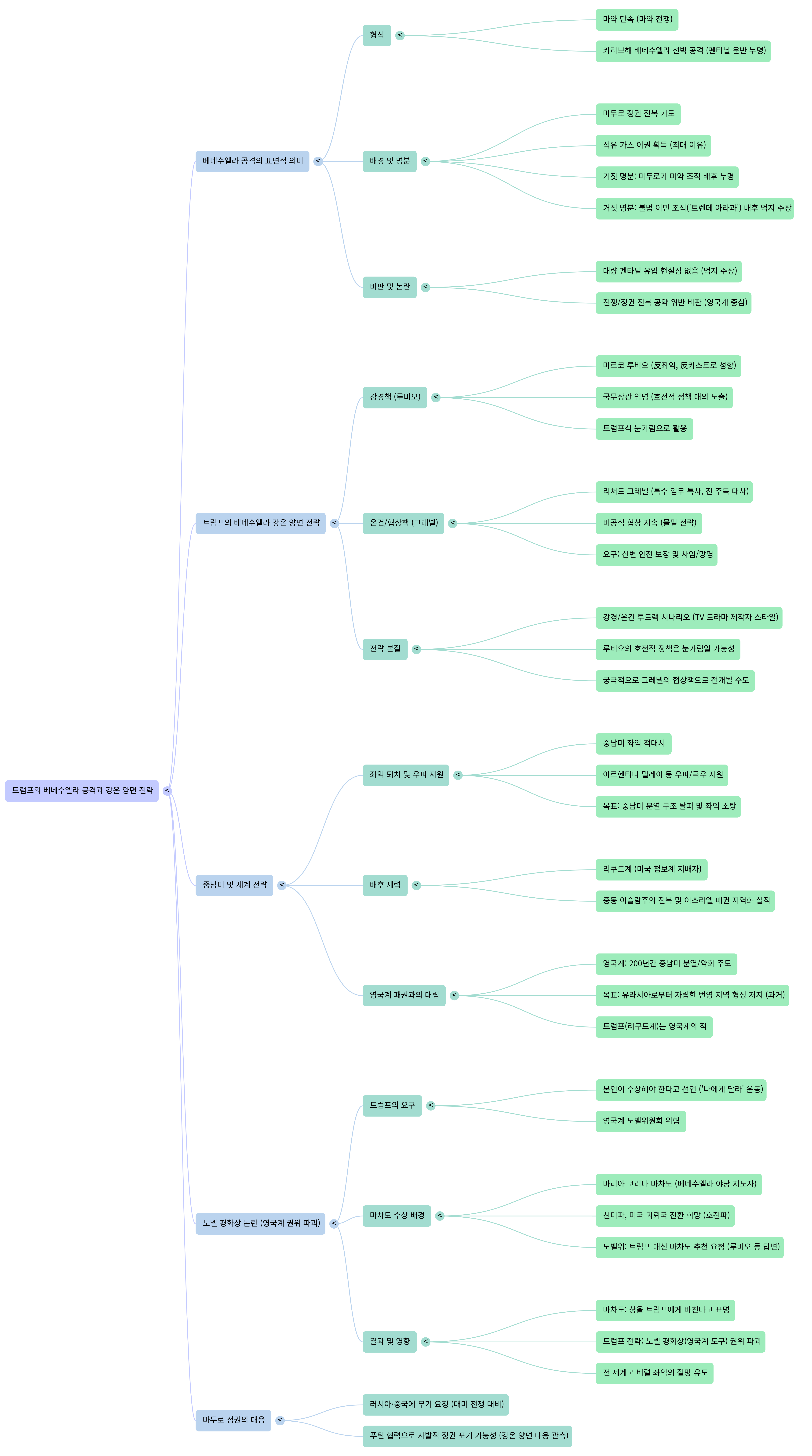 트럼프의 베네수엘라 공격 배경-Mind Map.png