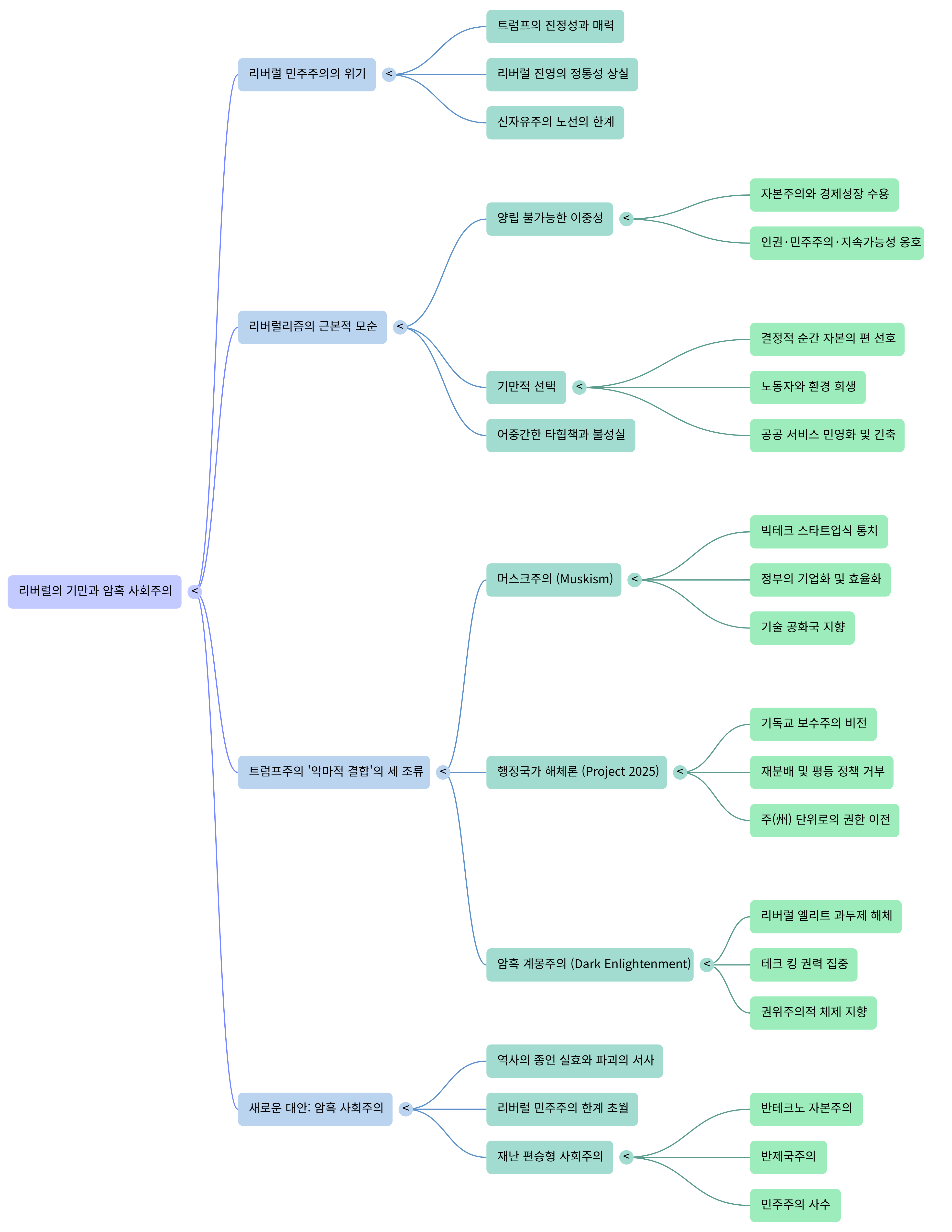 리버럴의 기만---Mind Map.png