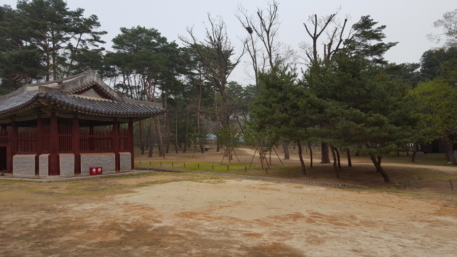 160410_헌릉_031.jpg