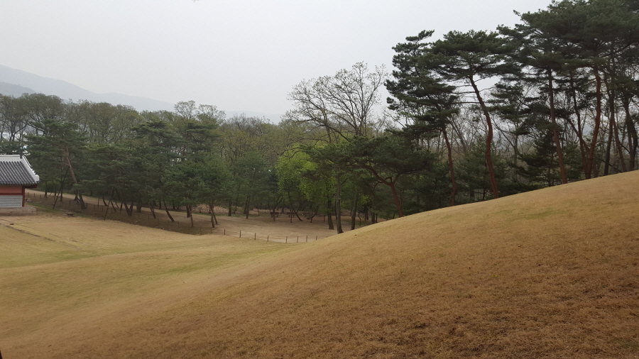 160410_헌릉_045.jpg