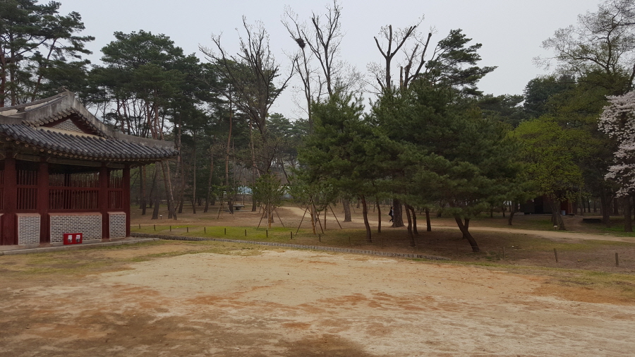 160410_헌릉_032.jpg