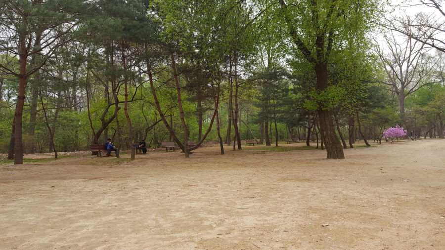 160410_헌릉_009.jpg