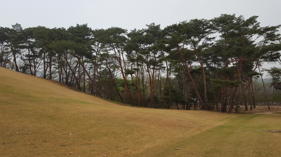 160410_헌릉_013.jpg