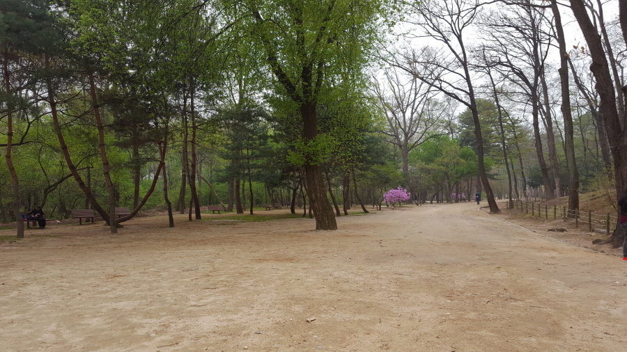 160410_헌릉_010.jpg