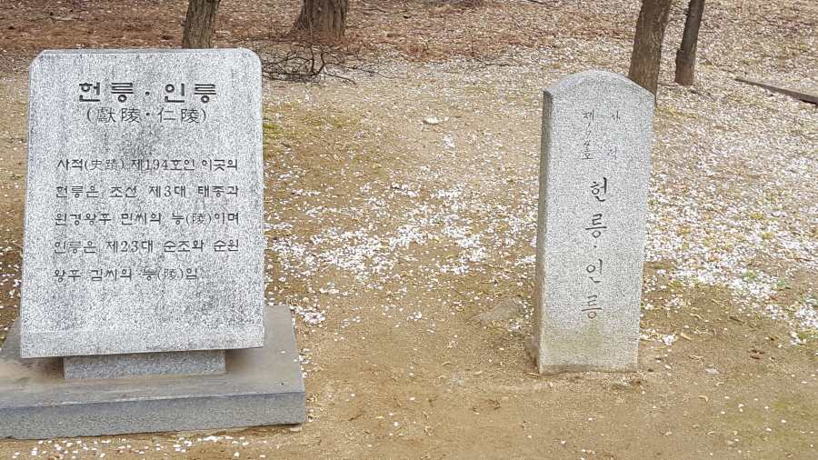 160410_헌릉_073.jpg