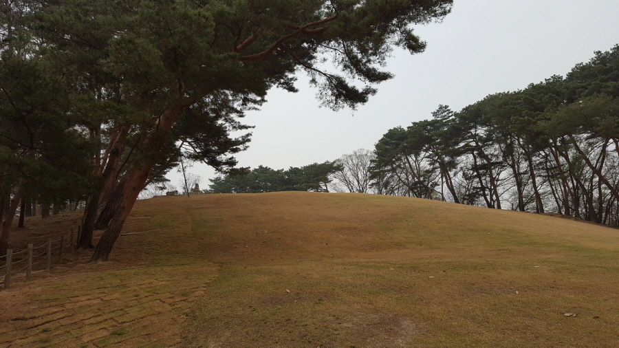 160410_헌릉_006.jpg