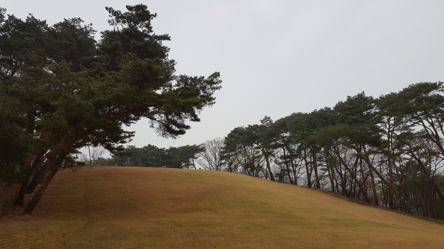 160410_헌릉_015.jpg