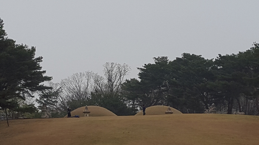 160410_헌릉_040.jpg