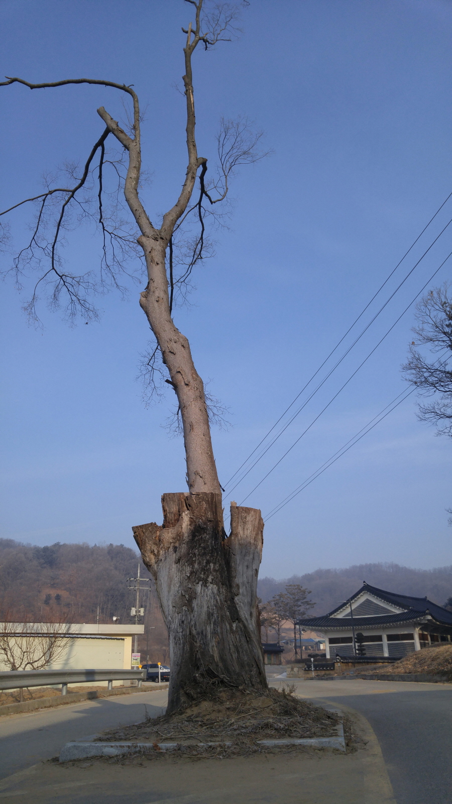 160127_원주조엄선생묘_054.jpg