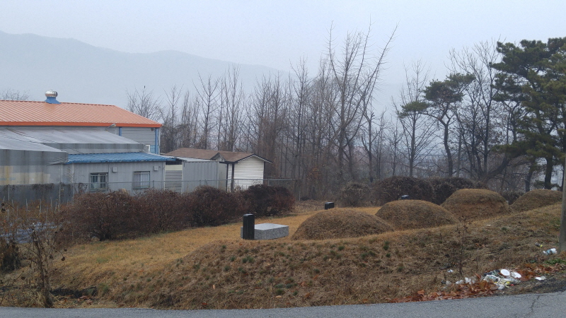 151215_충목단_001.jpg