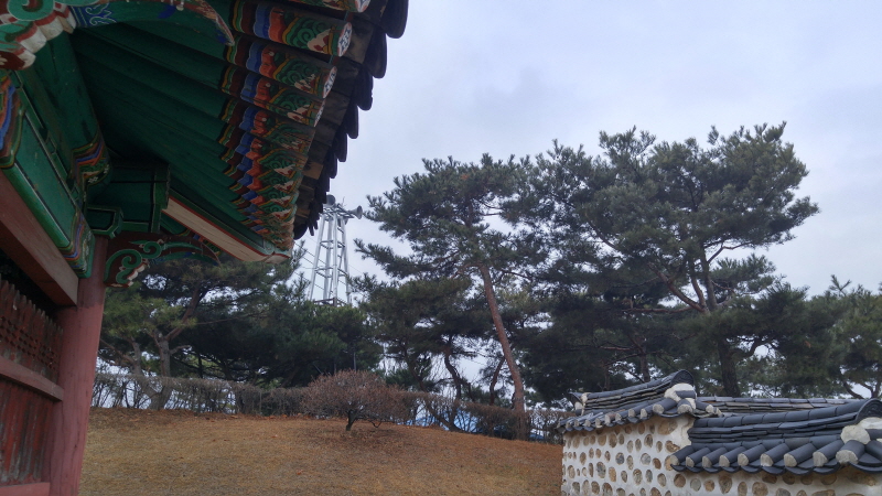 151215_충목단_013.jpg