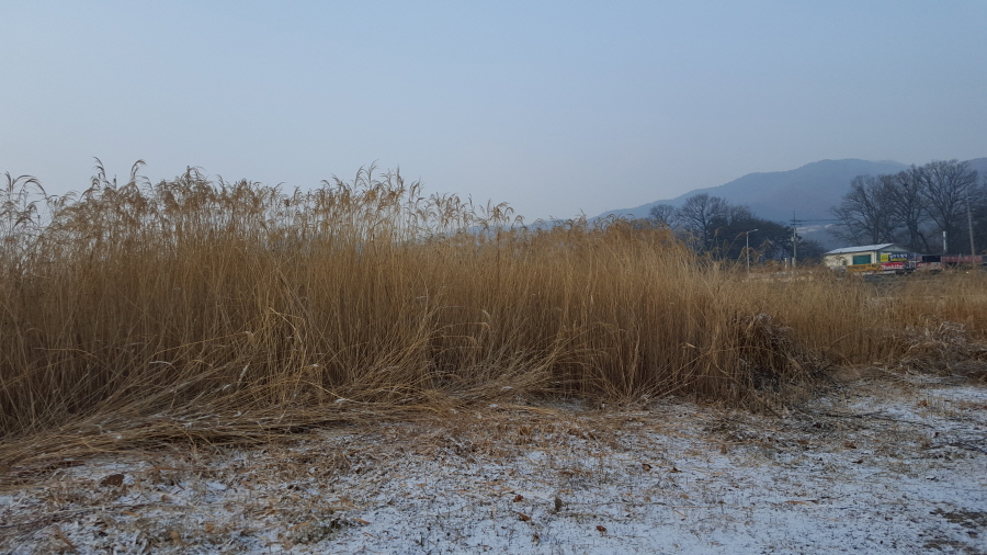 160223_알동산_015.jpg